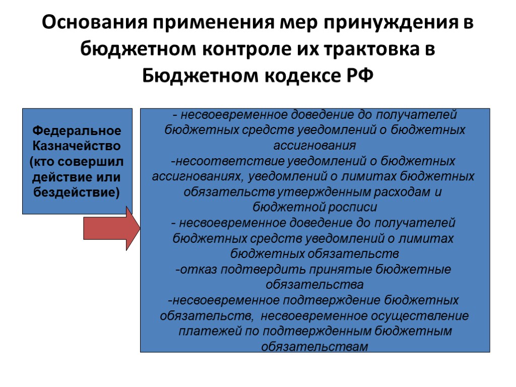 Основания применения мер принуждения в бюджетном контроле их трактовка в Бюджетном кодексе РФ Федеральное